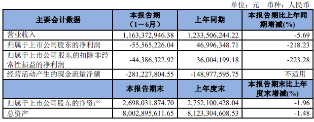亿博电竞 亿博官网白云电器：2022年上半年亏损555652万元(图1)