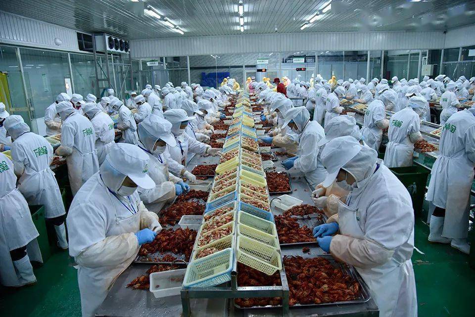 亿博电竞 亿博官网霍邱：绘就高质量发展新画卷(图4)