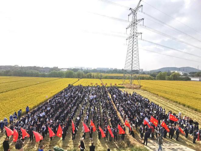 亿博电竞 亿博官网倍增！总数达88家！(图8)