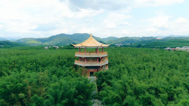 聚焦高质量发展肇庆县市区“一把手”齐亿博电竞 亿博官网表态(图5)