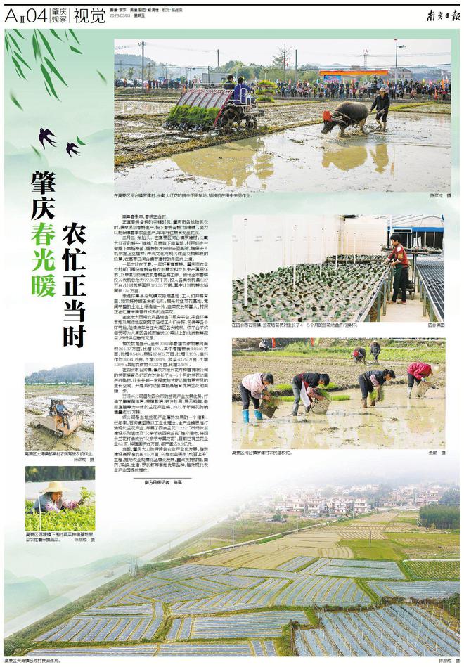 农业、经济齐发力南亿博电竞 亿博官网方日报看肇庆行动(图12)