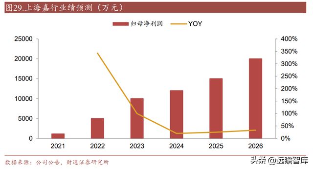 亿博电竞 亿博官网国内熔断器行业领导者好利科技：外延打开全新增长空间(图35)