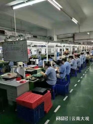 云南：9000万元的高科技电子产业企业泽瑞盛投产亿博电竞 亿博官网(图3)