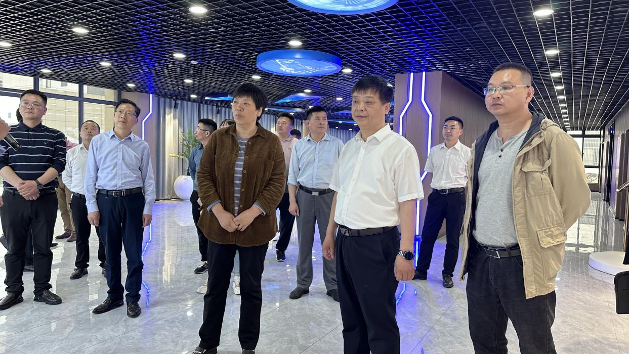 县政协开展“注重亩均效益强化‘双招双引’高质量建设省级电子元