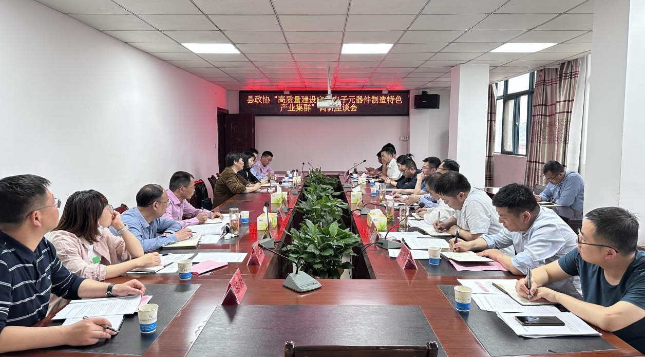 县政协开展“注重亩均效益强化‘双招双引’高质量建设省级电子元器件制造特色产业集群”调研亿博电竞 亿博官网(图3)