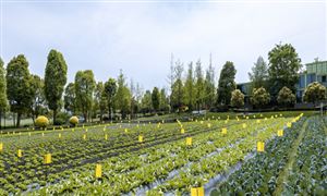 电子元器件行业前景如亿博电竞 亿博官网何？电子元器件市场分析2023(图7)