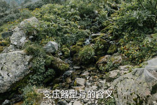 亿博电竞 亿博官网变压器型号含义电力变压器型号含义(图2)