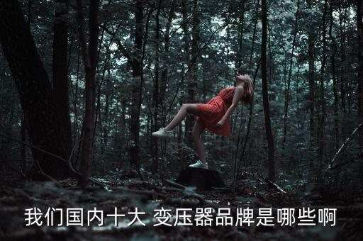 变压器品牌十大变压器品牌包括哪些？亿博电竞 亿博官网(图2)