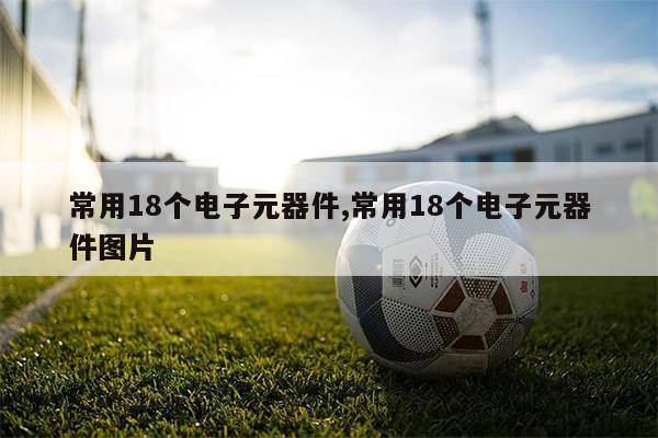 亿博电竞 亿博官网常用18个电子元器件常用18个电子元器件图