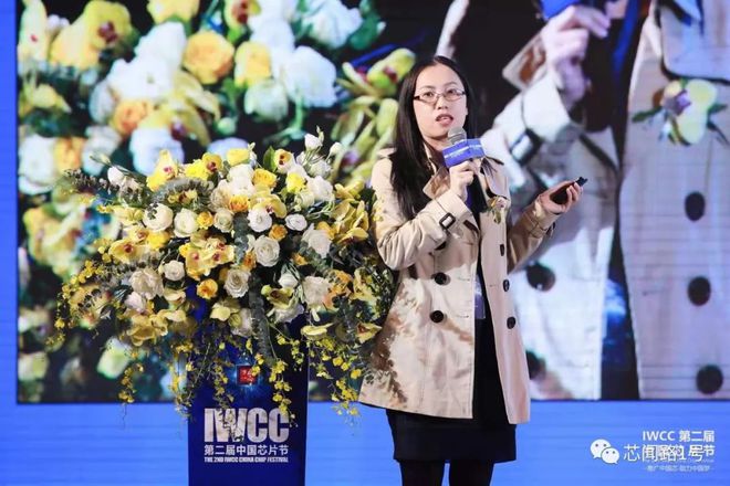 亿博电竞 亿博官网50家国产芯片原厂、100家芯片渠道分销商第二届IWCC节精彩回顾(图22)