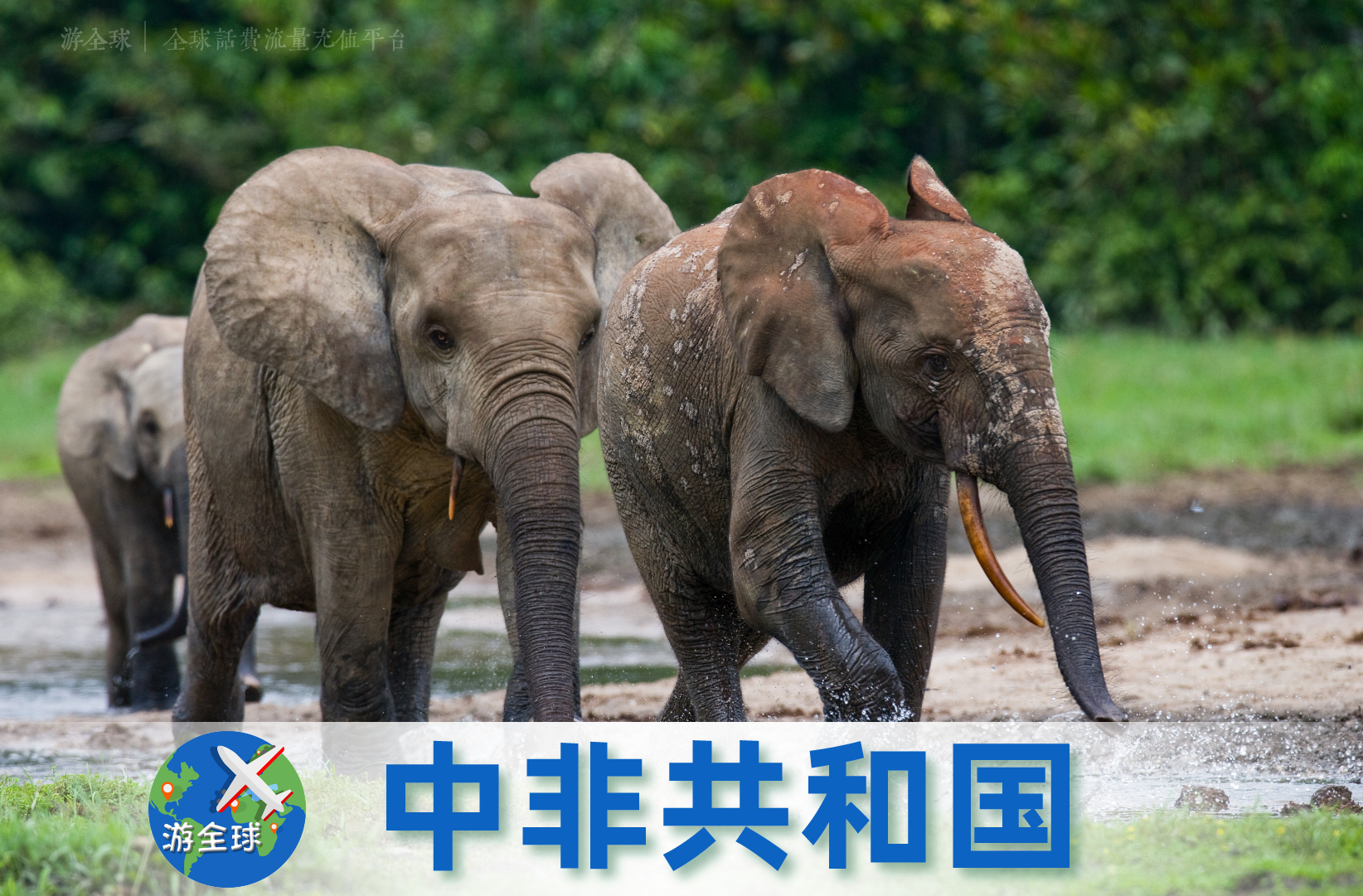 亿博电竞 亿博官网中非共和国Orange手机卡话费流量套餐充