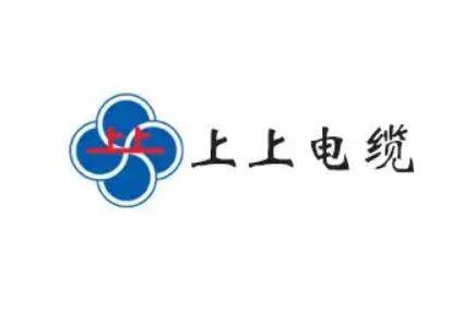全国十大电缆品牌 中国电线品牌前十大排名榜？亿博电竞 亿博官网(图6)